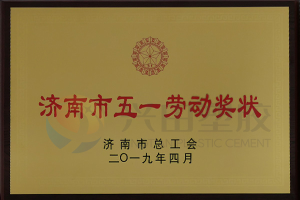 “濟(jì)南市五一勞動(dòng)獎(jiǎng)狀”(2019年)